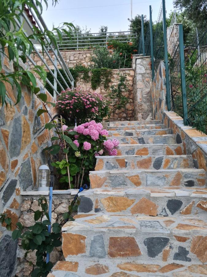 Vila Tatjana Guest House Vuno Exterior photo