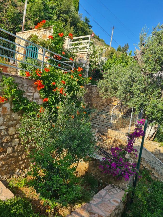 Vila Tatjana Guest House Vuno Exterior photo