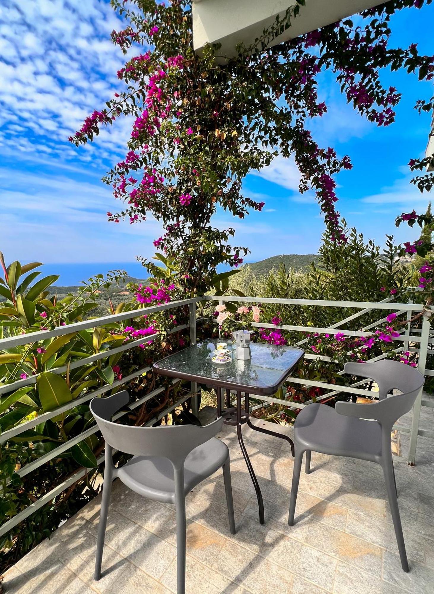 Vila Tatjana Guest House Vuno Exterior photo